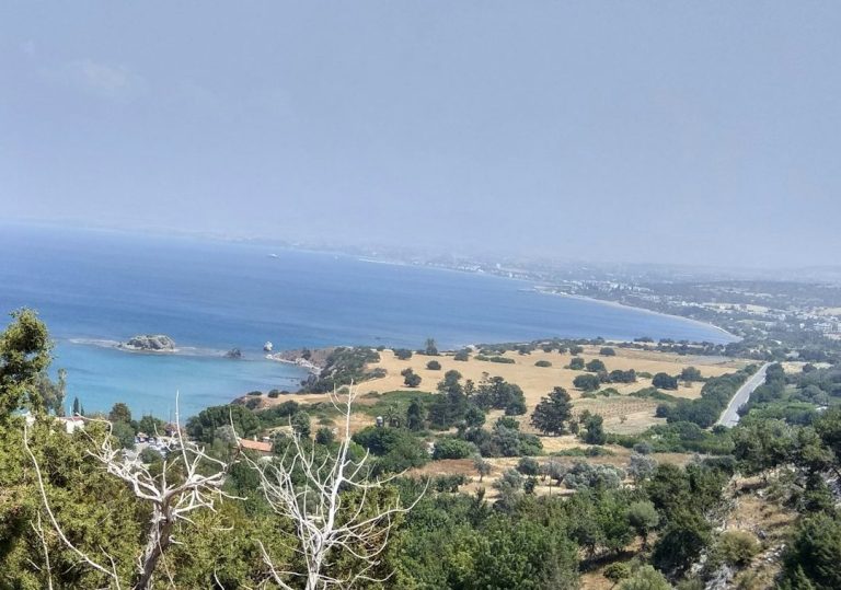 Luxury Auto Concierge